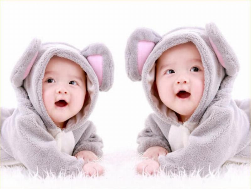 Quy trình lựa chọn và cắm hoa bách hợp ly tươi đẹp tại Lela Flower